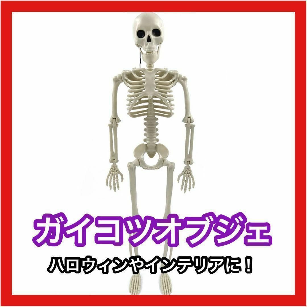人体模型　骨の模型　デッサン　フィギュア　骸骨 　インテリア　置物　40cm