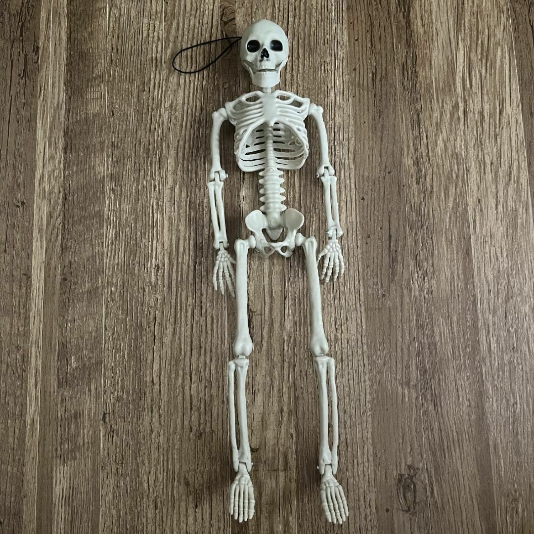 人体模型 骨の模型 デッサン フィギュア 骸骨 インテリア 置物 40cmの通販 by handmadeshop SARA｜ラクマ