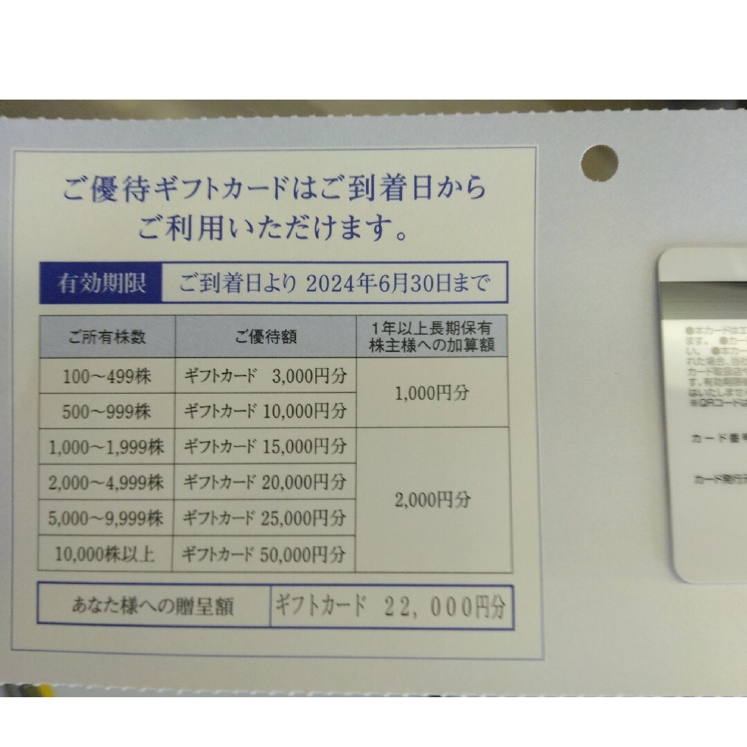 22000円分　エディオン　株主優待ショッピング