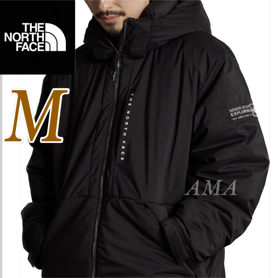 THE NORTH FACE - 【新品タグ付き】ACTION TECH DOWN JACKET Mサイズの