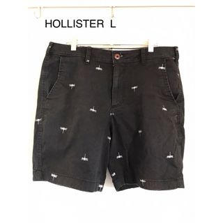 ホリスター(Hollister)のHOLLISTER 短パン  w33(ショートパンツ)