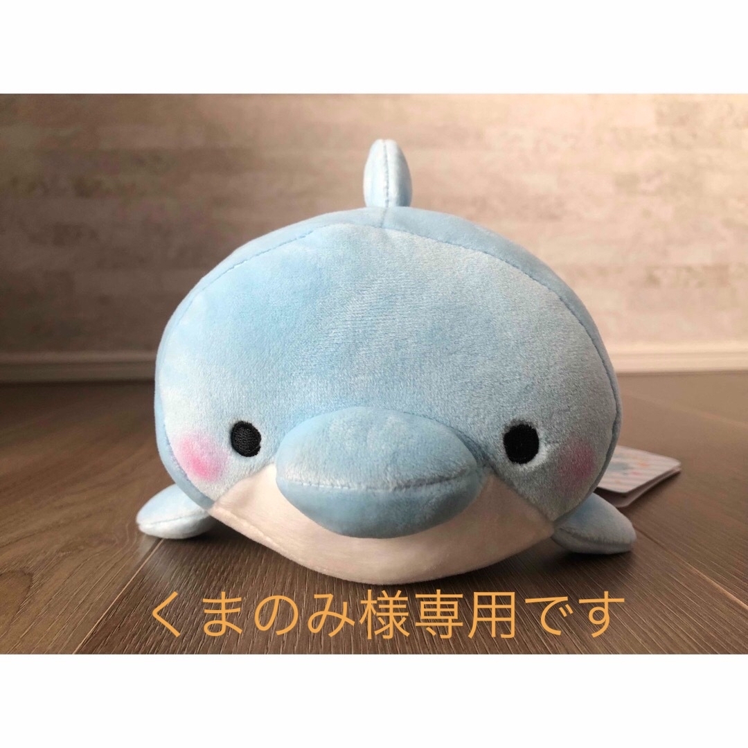 もちふわ ころころすいぞくかん いるか みいるか ゆるいるか | フリマアプリ ラクマ