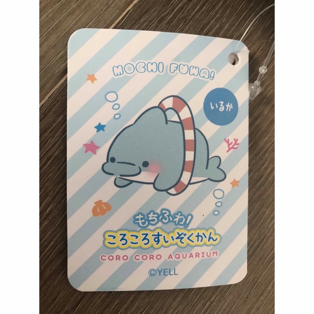 もちふわ ころころすいぞくかん いるか みいるか ゆるいるか