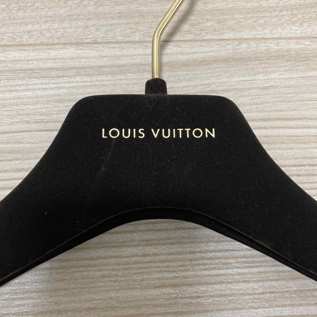 LOUIS VUITTON - 新品未使用 ルイヴィトン ガーメントケースとハンガー