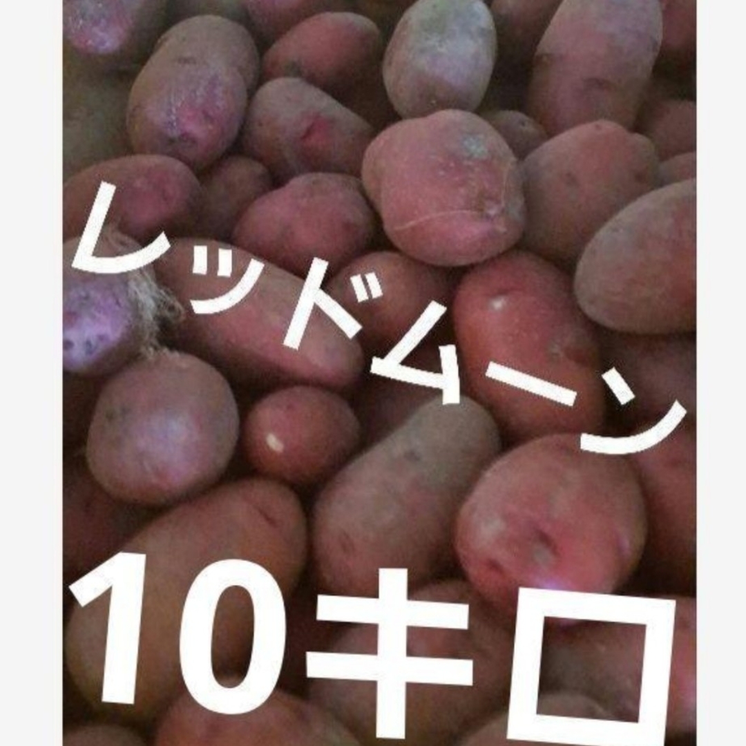 ❤️ほりたて新じゃがいも　レッドムーン　10キロ送料込 4500円 食品/飲料/酒の食品(野菜)の商品写真