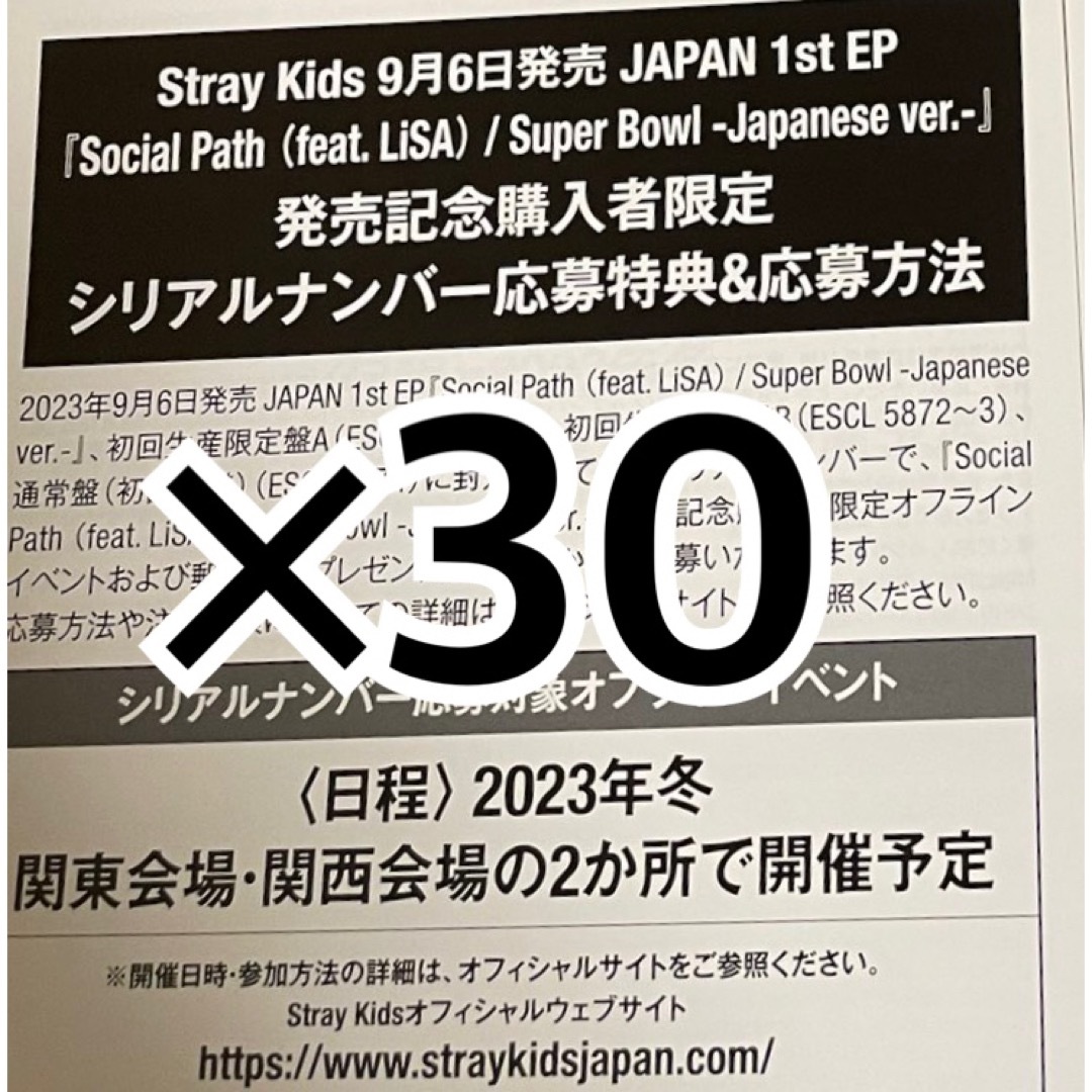 Stray Kids シリアル 応募券 20枚 スキズ