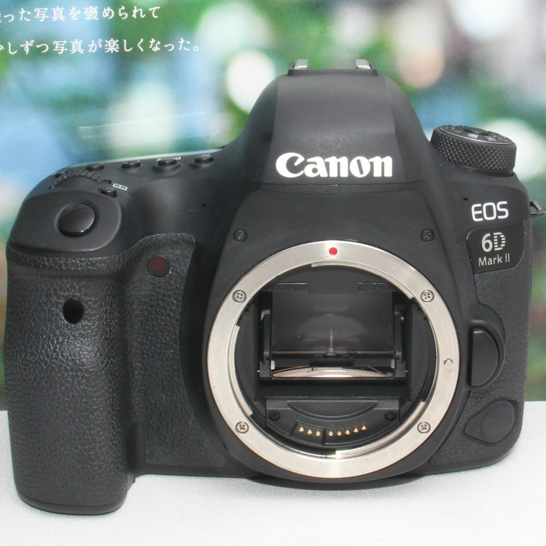 Canon - ❤️予備バッテリー付❤️キャノン EOS 6d マーク ii ダブル