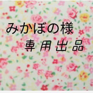 みかぼの様専用　移動ポケット８点　クリップ付き　送料込み(外出用品)