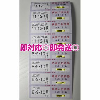 即発送◎【８枚】東京テアトル ご招待券＆提示割引証 / 女性名義 / 最新版(その他)