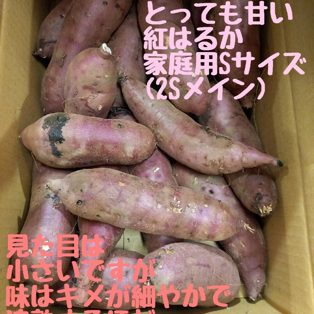 24ｷﾛR5年度新物初物サツマイモ 紅はるか家庭用Sサイズ茨城県土付減農薬栽培 食品/飲料/酒の食品(野菜)の商品写真