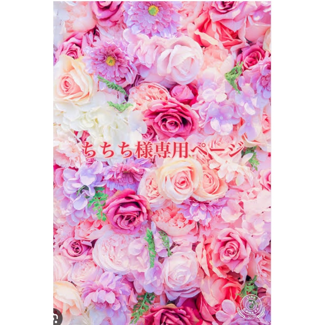 専用ページ♡他の方のご購入は出来ません。 | フリマアプリ ラクマ
