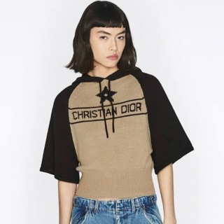 クリスチャンディオール(Christian Dior)のChristian Dior 22-23AW カシミヤニット　トップス　美品(ニット/セーター)