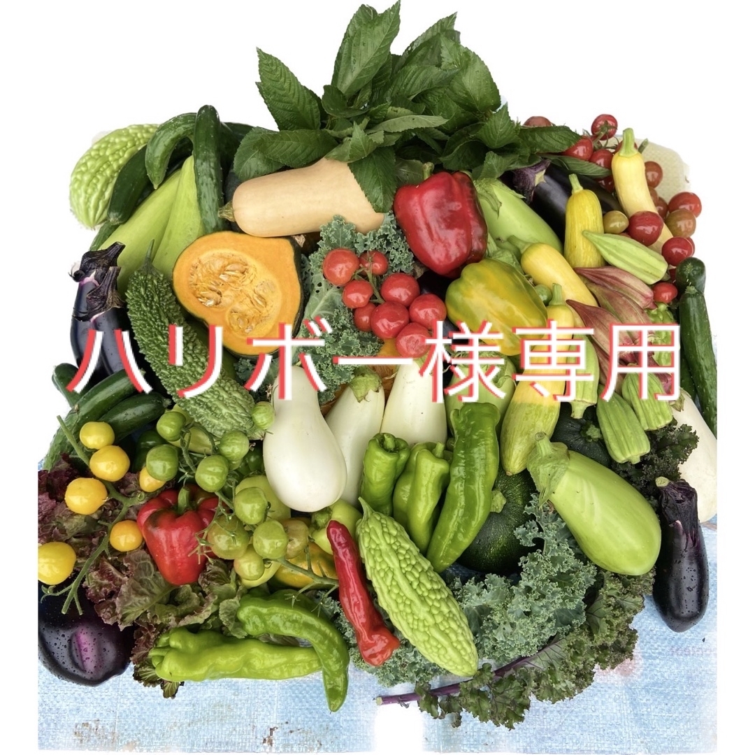 ハリボー様専用　朝採り新鮮野菜詰め合わせ　80サイズ  食品/飲料/酒の食品(野菜)の商品写真