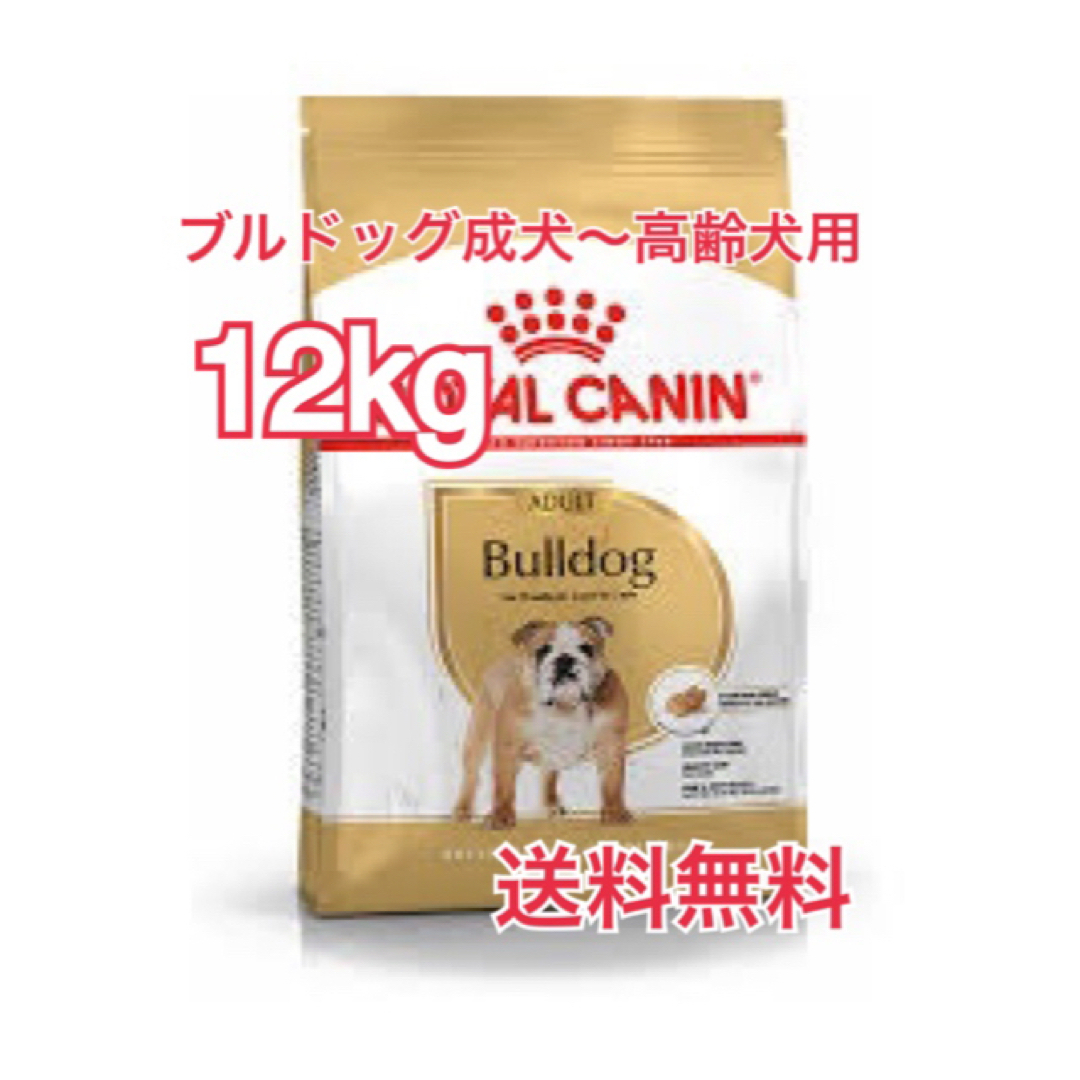 【ロイヤルカナン】ブルドッグ専用フード　成犬〜高齢犬用 12kg その他のペット用品(ペットフード)の商品写真