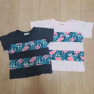 ブランシェス(Branshes)のふふふ、フラミンゴのデザインがカワちぃ！サイズ80&100　BRANSH(Tシャツ/カットソー)