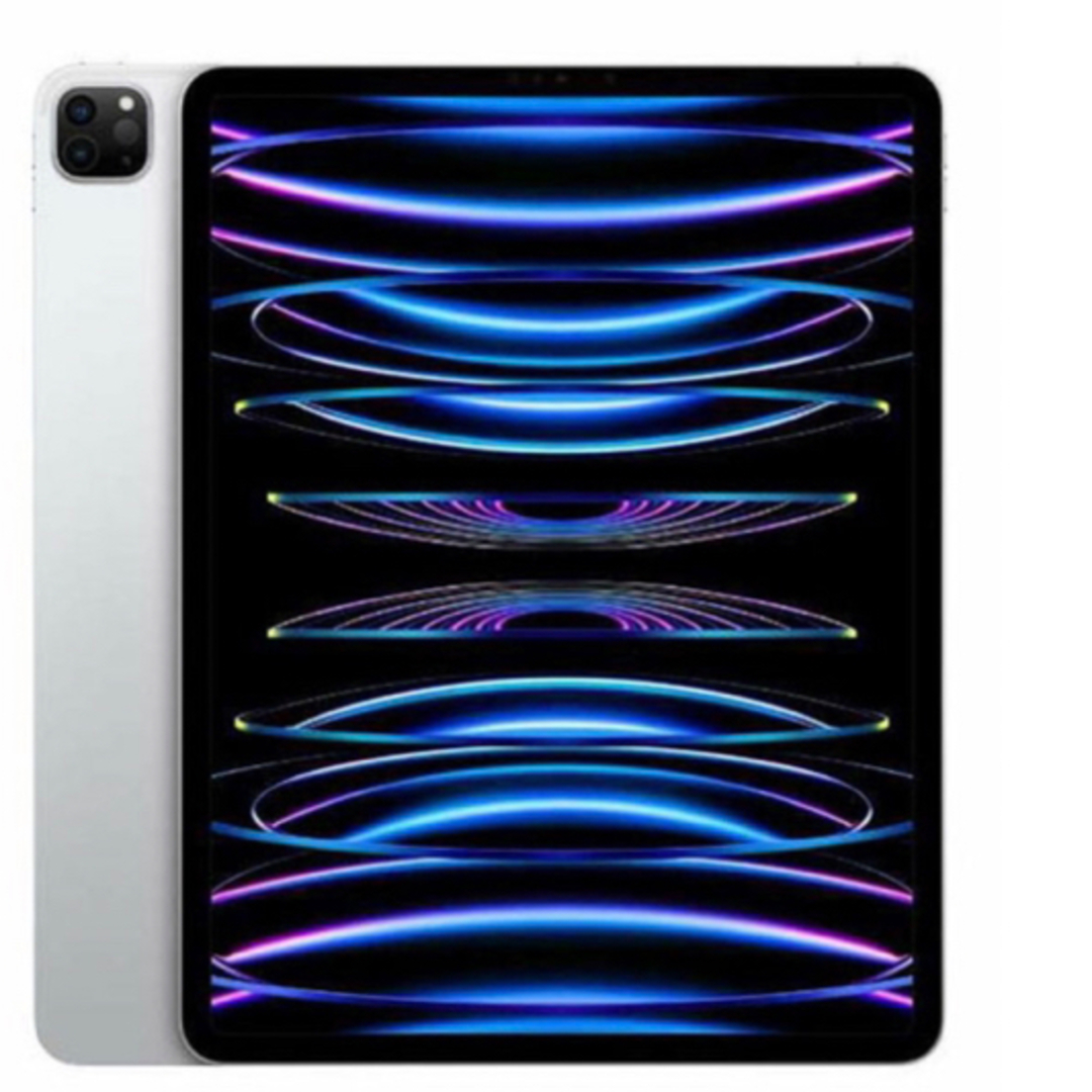iPad Pro 11インチ 第4世代 256GB セルラーモデル