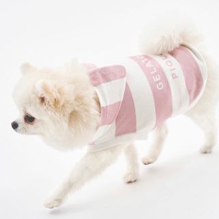 ジェラートピケ(gelato pique)のGELATO PIQUE ジェラートピケ 犬服 M ピンク ボーダー フーディ(犬)