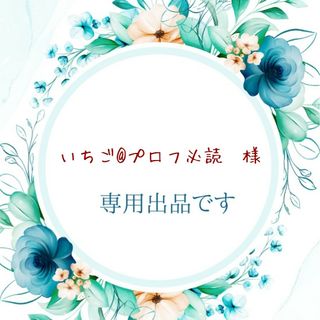 いちご@プロフ必読様