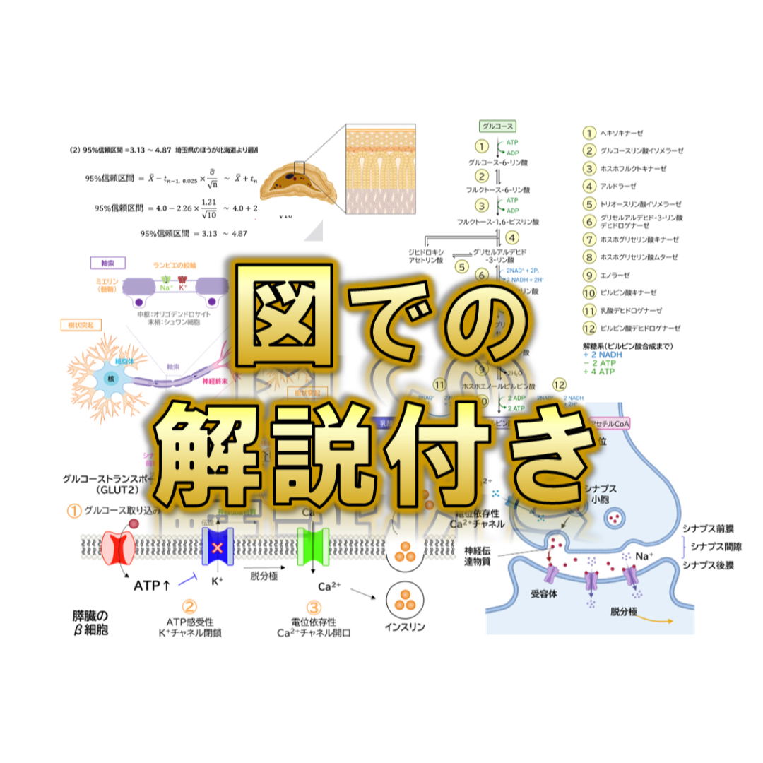 旭川医科大学】2024〜2019年度 解答解説 医学部学士編入 - 語学/参考書