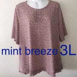 ミントブリーズ(MINT BREEZE)の定価4515円 新品 ミントブリーズ 3L カットソー Tシャツ 大きいサイズ(カットソー(半袖/袖なし))