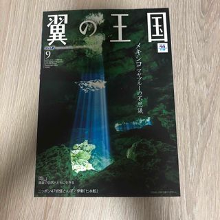 エーエヌエー(ゼンニッポンクウユ)(ANA(全日本空輸))の翼の王国　ANA機内誌(航空機)