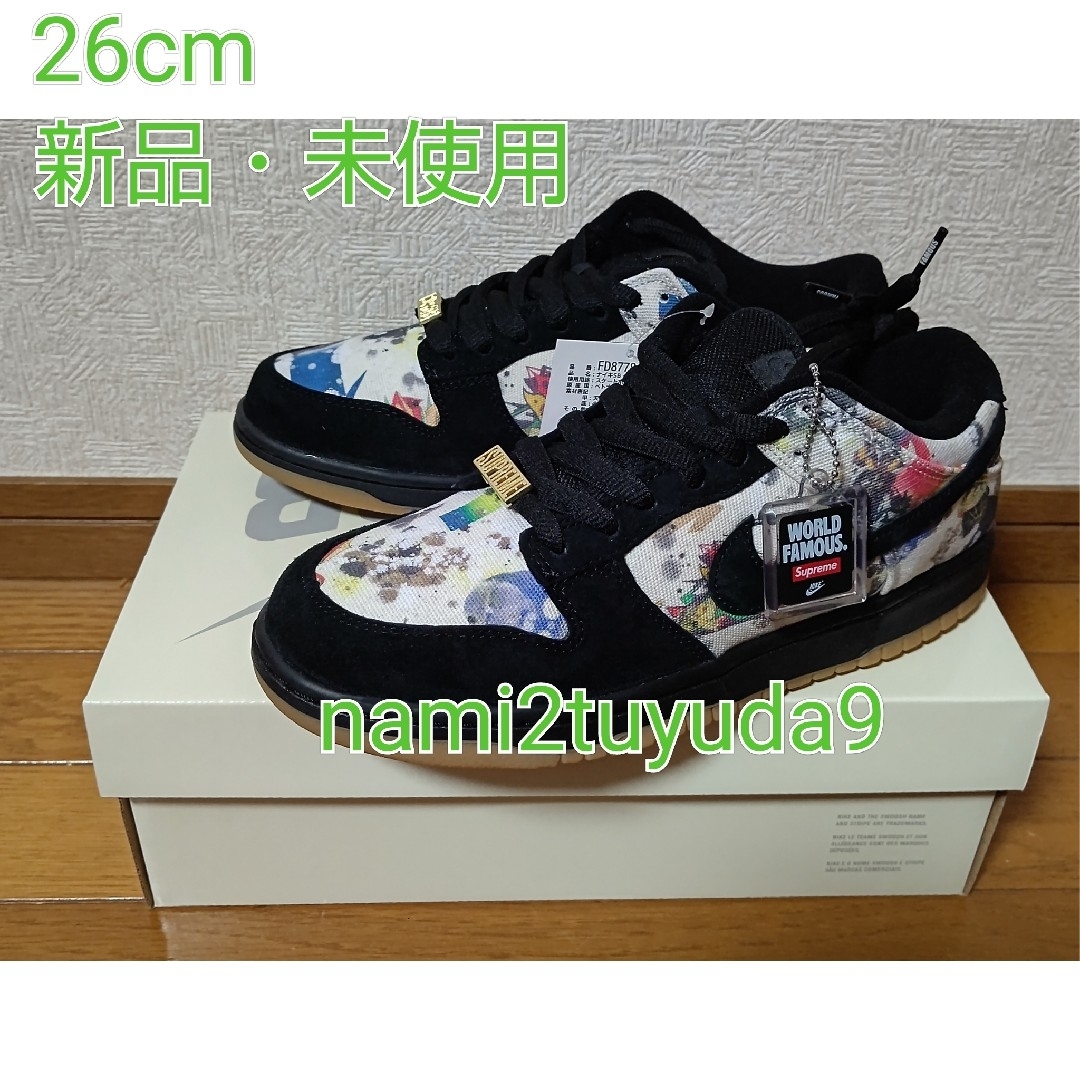 26cm Supreme Nike SB Rammellzee Dunk Low