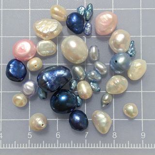 淡水パールアソート きょうの気まぐれ出張ロマンス その161!