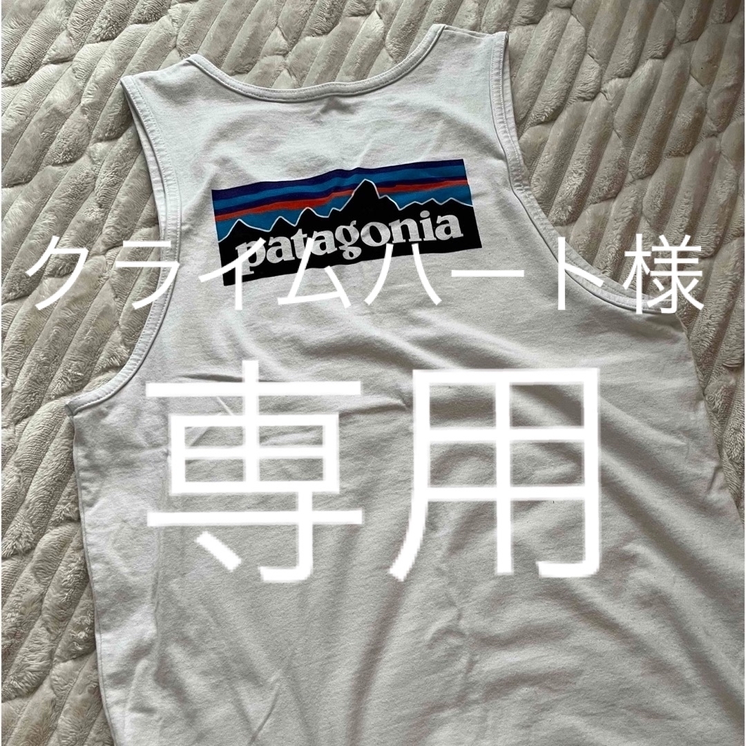 patagonia(パタゴニア)のパタゴニア メンズのトップス(Tシャツ/カットソー(半袖/袖なし))の商品写真