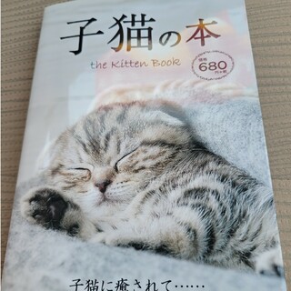 子猫の本 ｔｈｅ　Ｋｉｔｔｅｎ　ＢＯＯＫ(趣味/スポーツ/実用)