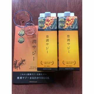 フィネス(Finess)の豊潤サジー　1,000ml   2本セット(その他)