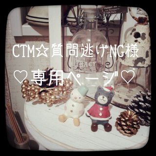 CTM様♪専用ページ(その他)