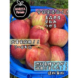 青森直送　りんご(つがる) 早取　訳あり　7〜8キロほど　果物　林檎　送料無料(フルーツ)