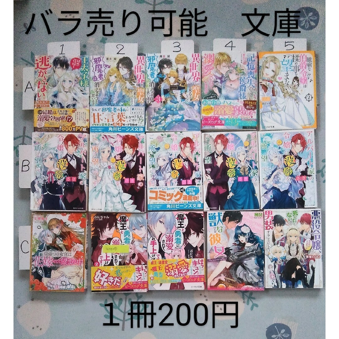 ラノベ 13冊 まとめ売り バラ売り可 - 文学・小説