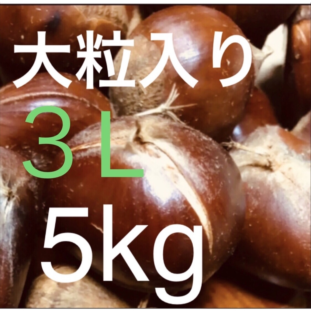 4cm以上の大粒入り 栗 3L 5kg 無農薬