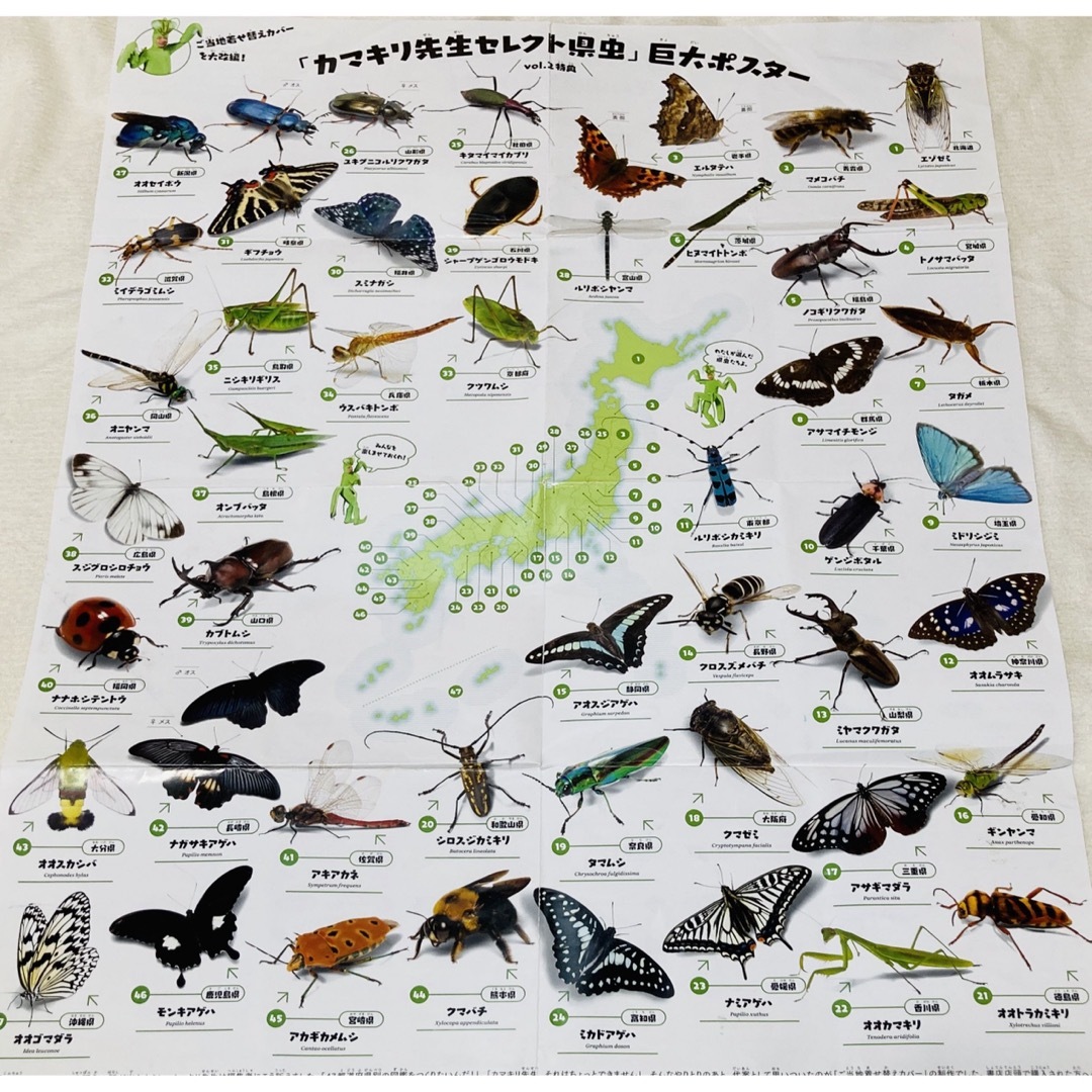 昆虫すごいぜ図鑑１、２、３巻　３冊セット　かまきり先生昆虫図鑑虫 エンタメ/ホビーの本(絵本/児童書)の商品写真