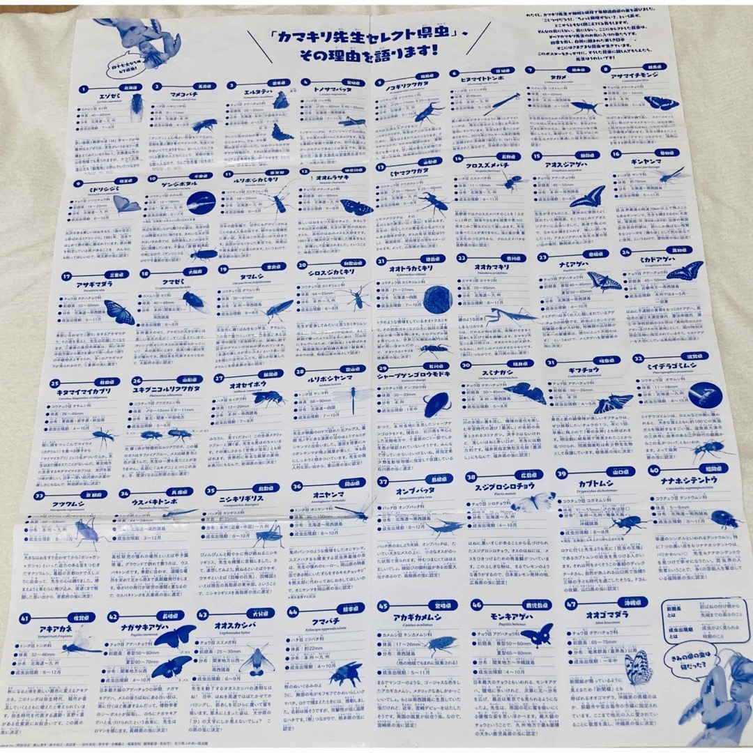 昆虫すごいぜ図鑑１、２、３巻　３冊セット　かまきり先生昆虫図鑑虫 エンタメ/ホビーの本(絵本/児童書)の商品写真