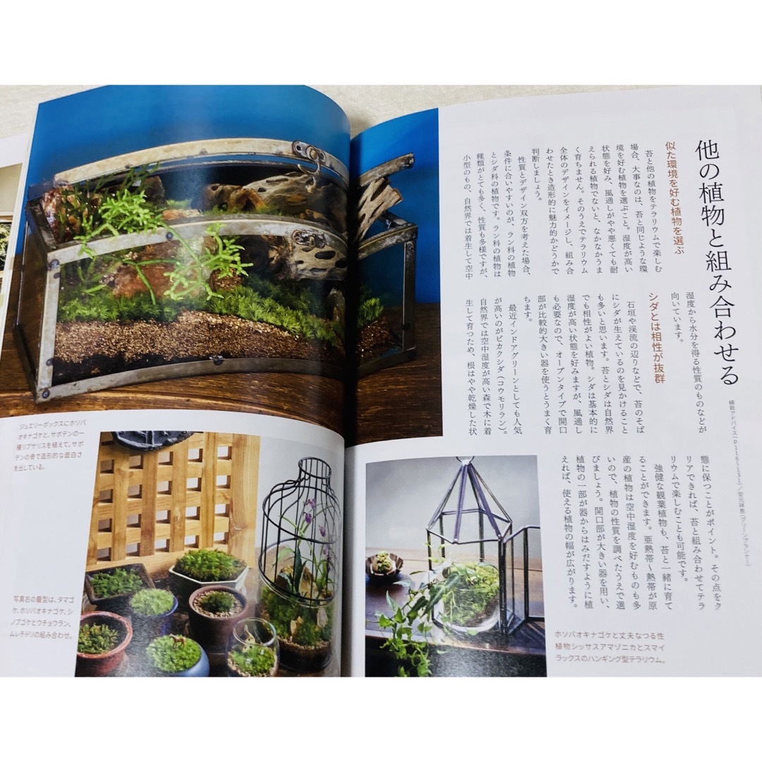 はじめての苔テラリウム　苔図鑑コケ育て方 エンタメ/ホビーの本(その他)の商品写真