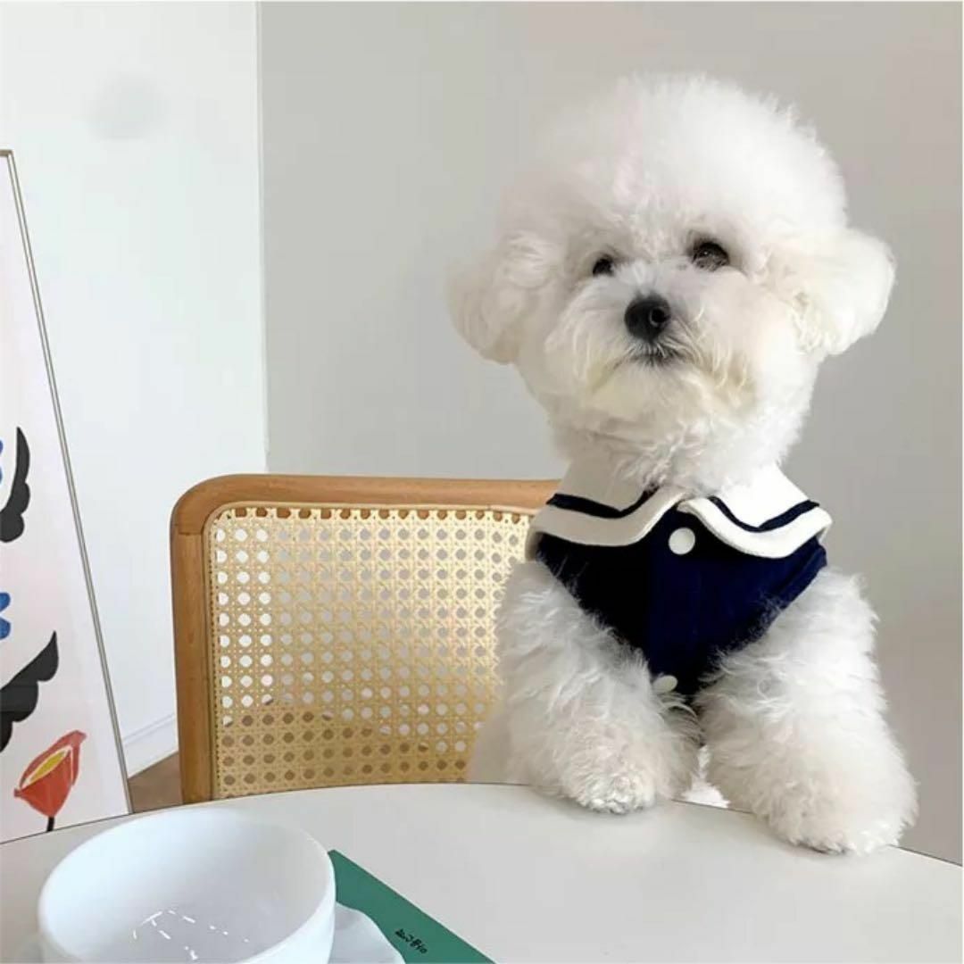 【訳あり】 セーラー ベスト XL ドッグウェア 夏服 犬服 犬の服 夏 ペット その他のペット用品(犬)の商品写真