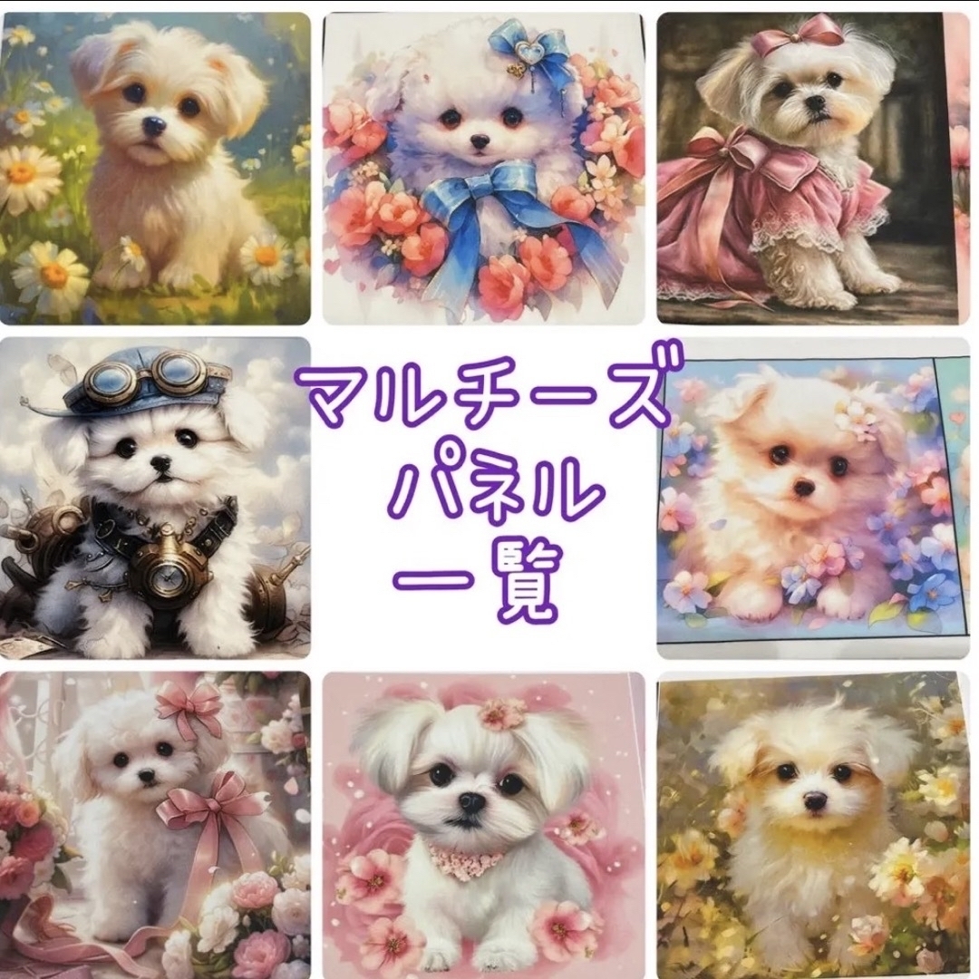 スペシャルオファ マルチーズ ブーケ
