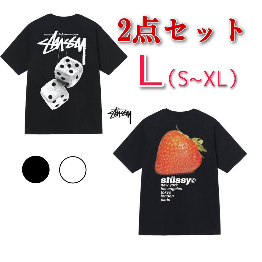 STUSSY - 【新品】ステューシー 半袖 TシャツSTUSSY ティーシャツ2点 ...