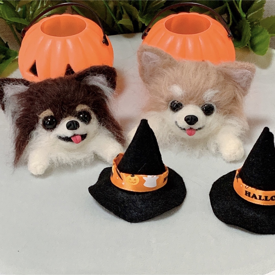 羊毛フェルト ハロウィン チョコタン クリームタン チワワ 羊毛フェルト ハロウィン チョコタン クリームタン チワワ
