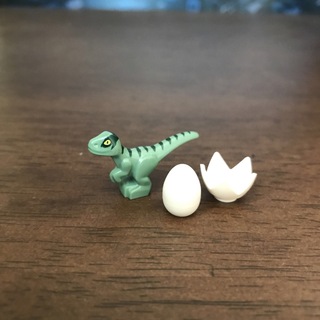 レゴ(Lego)の新品✨LEGO レゴ 正規品 ベビー　恐竜 ラプトル 卵 卵殻　ダークグリーン (知育玩具)