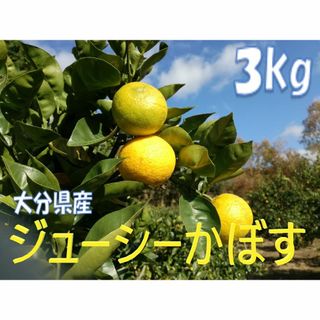 大分県名産 ジューシーかぼす 3kg 種なし(フルーツ)