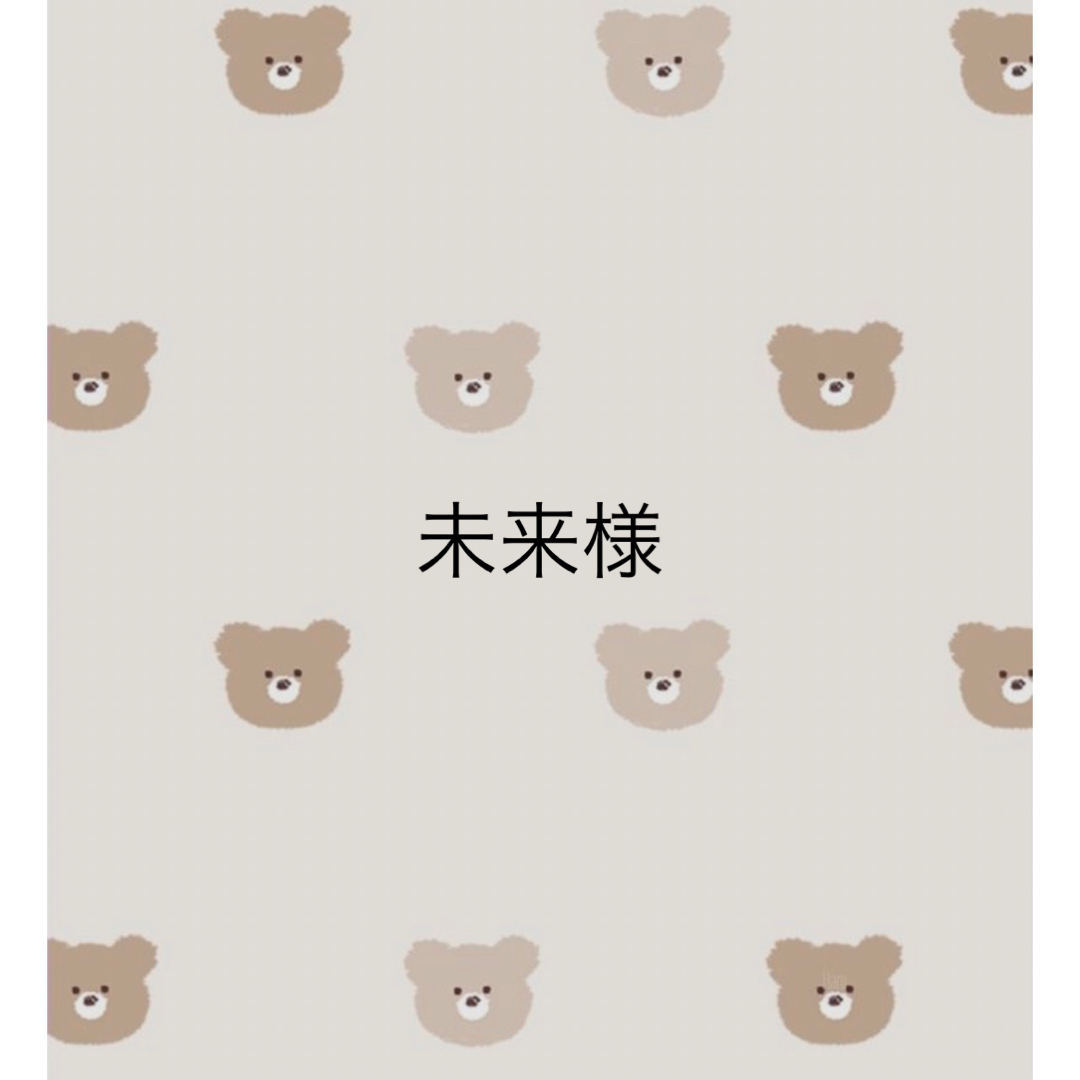 【当店限定販売】 未来様 専用
