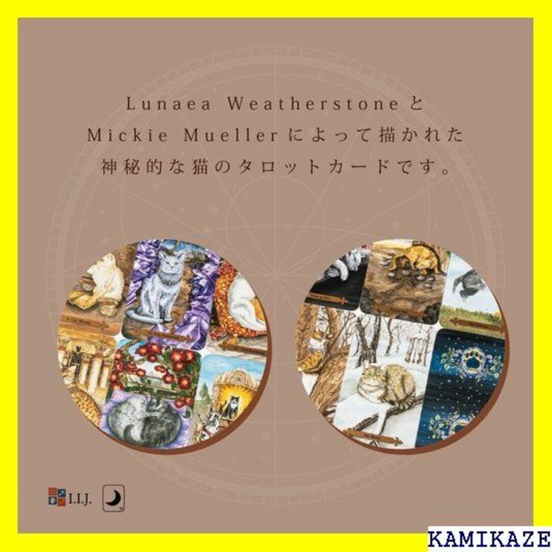 ☆在庫処分 タロットカード 78枚 タロット占い 猫 ミス 本語解説書付き 68 2