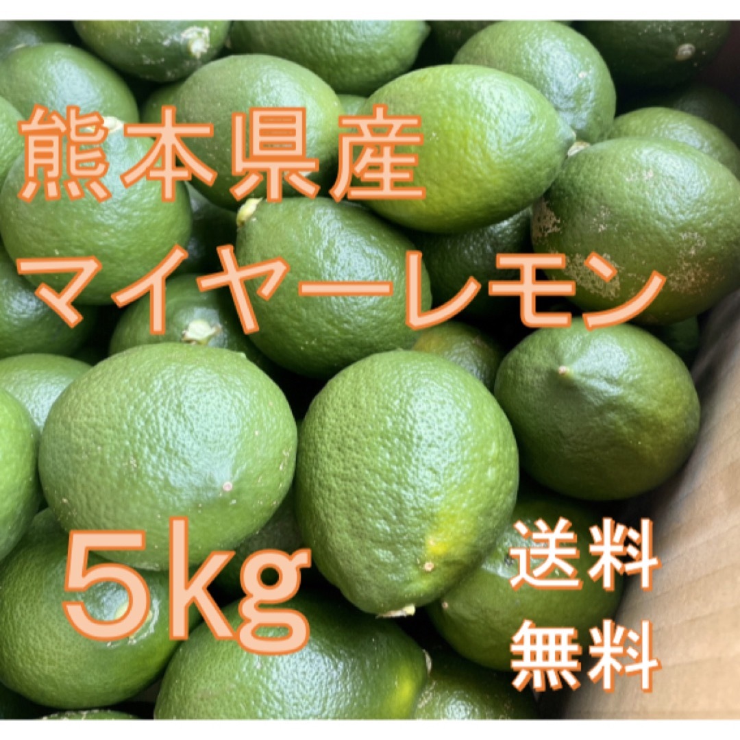 減農薬 熊本県産 マイヤーレモン 5㎏ 送料無料 食品/飲料/酒の食品(フルーツ)の商品写真