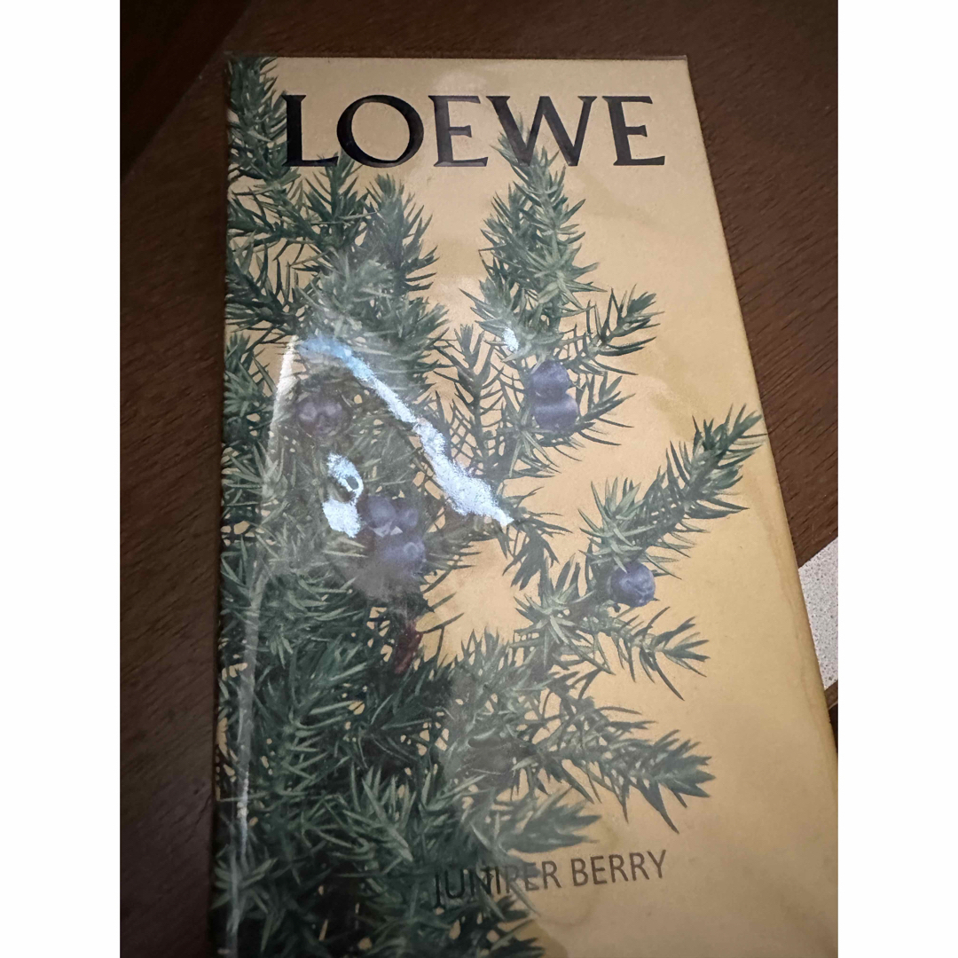 LOEWE(ロエベ)のLOEWE ロエベ　ホームスプレー新品 コスメ/美容のリラクゼーション(アロマスプレー)の商品写真