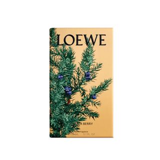 ロエベ(LOEWE)のLOEWE ロエベ　ホームスプレー新品(アロマスプレー)