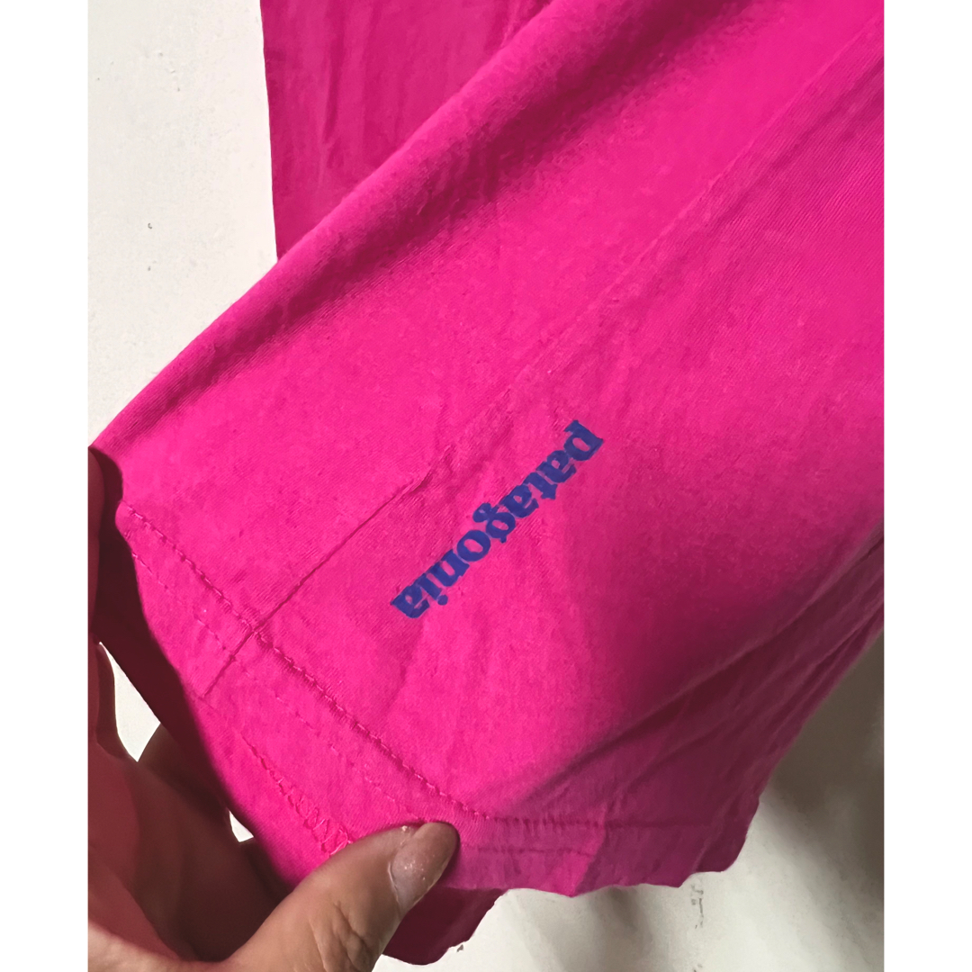 patagonia(パタゴニア)の Patagonia LIVE SIMPLY パタゴニア　Tシャツ レディースのトップス(Tシャツ(半袖/袖なし))の商品写真