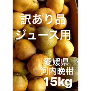 訳あり品　愛媛県産　河内晩柑　宇和ゴールド　柑橘　ジュース用　15kg(フルーツ)